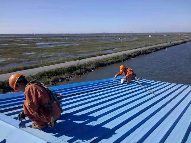 阜阳彩钢瓦屋面防腐翻新